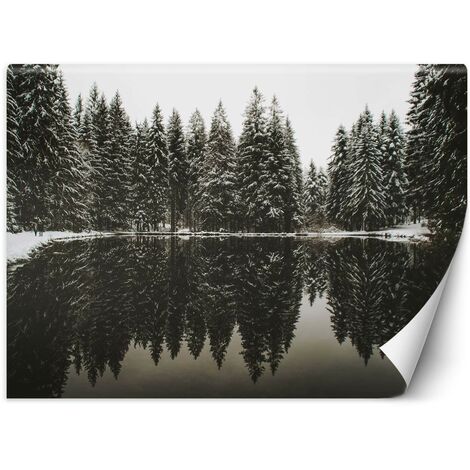 Carta Da Parati, Lago nella foresta in inverno - 400x280