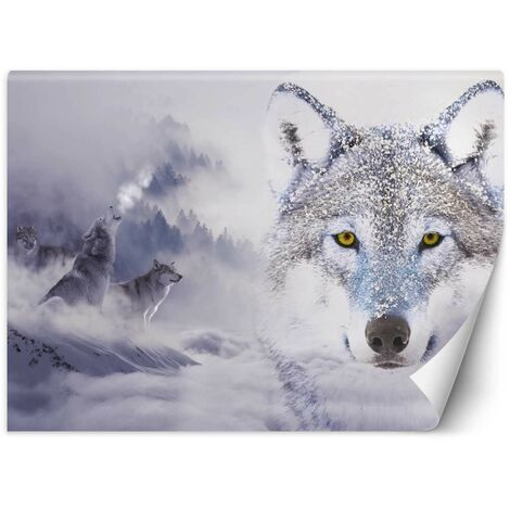 Carta Da Parati, Lupo nella nebbia Animali della natura - 400x280