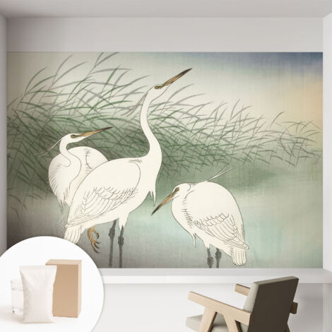 Carta Da Parati - Mural - Con Sala Da Pranzo - Camera Da Letto - Cameretta - Con Colla Gratuita Aironi nell'erba 152x104 cm