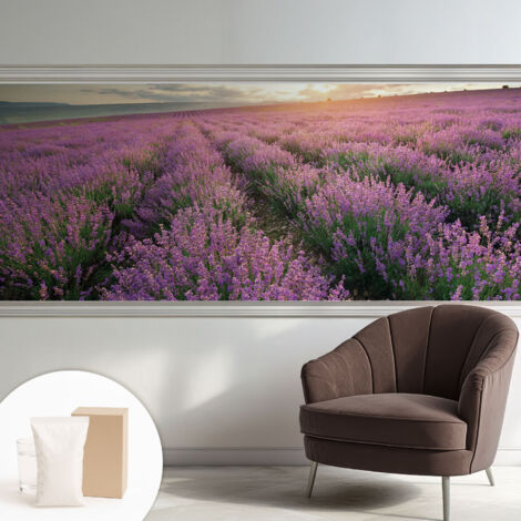 Carta Da Parati - Mural - Con Sala Da Pranzo - Camera Da Letto - Cameretta - Con Colla Gratuita Campi di lavanda 250x104 cm
