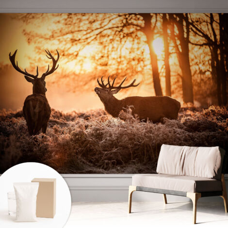 Carta Da Parati - Mural - Con Sala Da Pranzo - Camera Da Letto - Cameretta - Con Colla Gratuita Cervi al mattino 312x219 cm