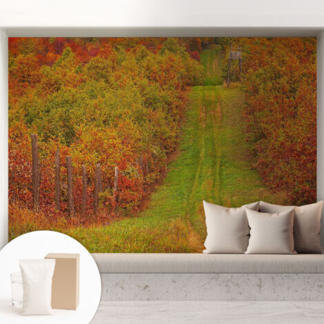 Carta Da Parati - Mural - Con Sala Da Pranzo - Camera Da Letto - Cameretta - Con Colla Gratuita Colori autunnali 208x146 cm