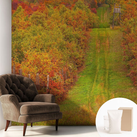 Carta Da Parati - Mural - Con Sala Da Pranzo - Camera Da Letto - Cameretta - Con Colla Gratuita Colori autunnali 250x250 cm