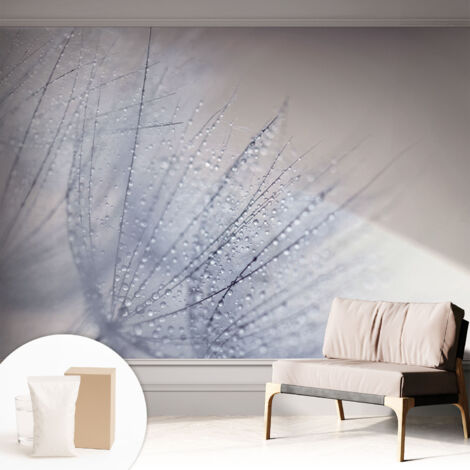 Carta Da Parati - Mural - Con Sala Da Pranzo - Camera Da Letto - Cameretta - Con Colla Gratuita dente di leone rugiadoso 312x219 cm
