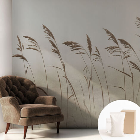 Carta Da Parati - Mural - Con Sala Da Pranzo - Camera Da Letto - Cameretta - Con Colla Gratuita Erba nella nebbia 250x250 cm