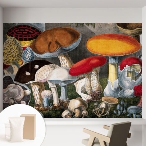 Carta Da Parati - Mural - Con Sala Da Pranzo - Camera Da Letto - Cameretta - Con Colla Gratuita Funghi botanici 152x104 cm