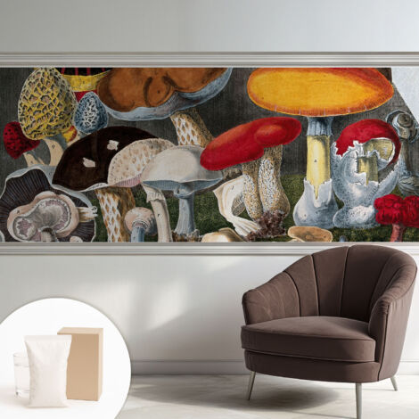 Carta Da Parati - Mural - Con Sala Da Pranzo - Camera Da Letto - Cameretta - Con Colla Gratuita Funghi botanici 250x104 cm