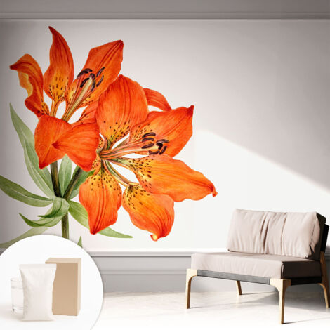 Carta Da Parati - Mural - Con Sala Da Pranzo - Camera Da Letto - Cameretta - Con Colla Gratuita Giglio arancione 312x219 cm