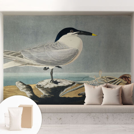 Carta Da Parati - Murale Alla Moda Decorazione - Camera Da Letto - Con Colla Gratuita Eleganza ornitologica 208x146 cm