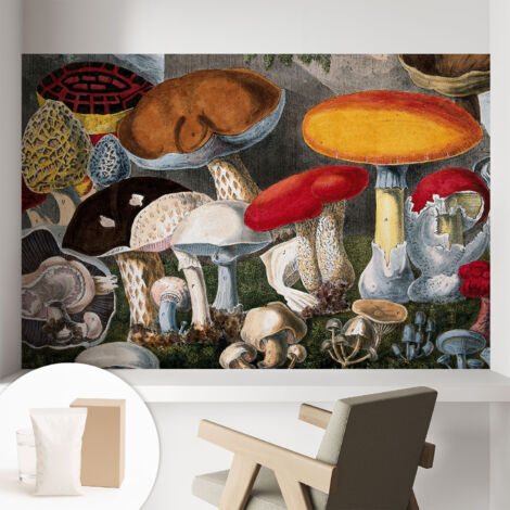 Carta Da Parati - Murale Alla Moda Decorazione - Camera Da Letto - Con Colla Gratuita Funghi botanici 104x70 cm