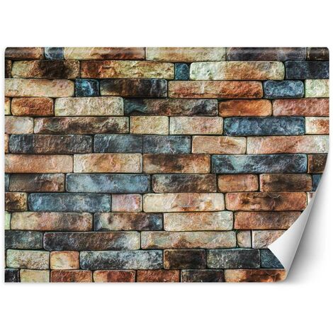 Carta Da Parati, Muro di mattoni colorati - 250x175