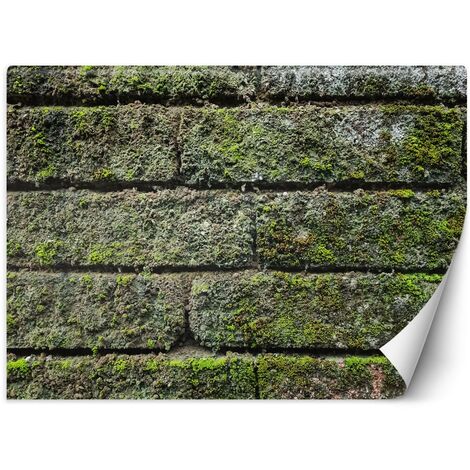 Carta Da Parati, Muro di mattoni vintage - 150x105