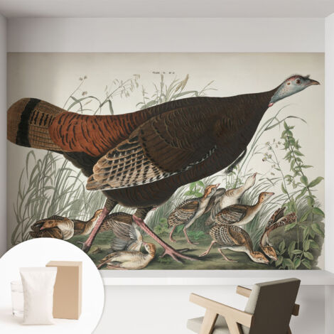 Carta Da Parati Non Tessuto - Con Colla Gratuita - Con Motivi Moderni - Design Elegante Per Pareti Armonia naturale 152x104 cm