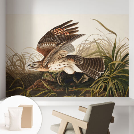 Carta Da Parati Non Tessuto - Con Colla Gratuita - Con Motivi Moderni - Design Elegante Per Pareti Bellezza alata 104x70 cm