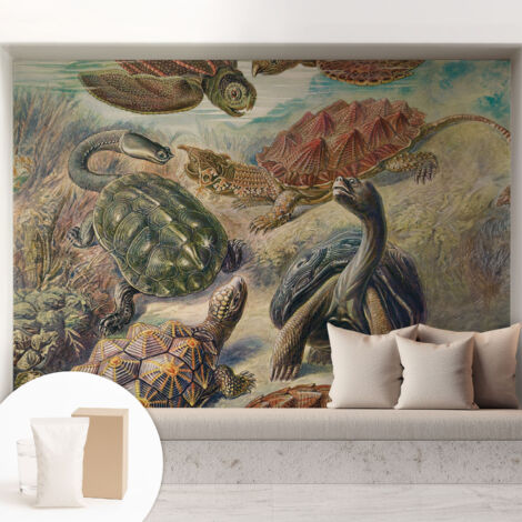 Carta Da Parati Non Tessuto - Con Colla Gratuita - Con Motivi Moderni - Design Elegante Per Pareti Fauna delle tartarughe 208x146 cm
