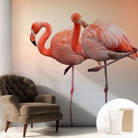 Carta Da Parati Non Tessuto - Con Colla Gratuita - Con Motivi Moderni - Design Elegante Per Pareti Fenicotteri delicati 250x250 cm