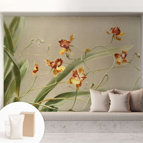 Carta Da Parati Non Tessuto - Con Colla Gratuita - Con Motivi Moderni - Design Elegante Per Pareti Orchidee classiche 208x146 cm