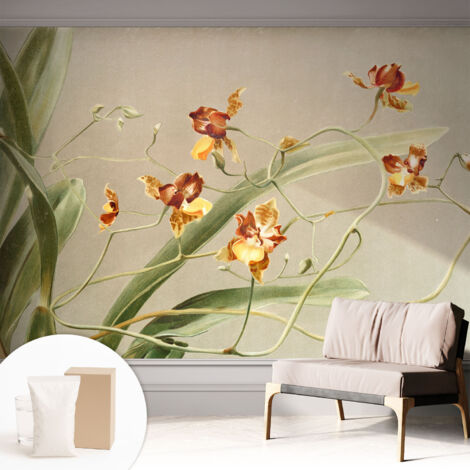 Carta Da Parati Non Tessuto - Con Colla Gratuita - Con Motivi Moderni - Design Elegante Per Pareti Orchidee classiche 312x219 cm