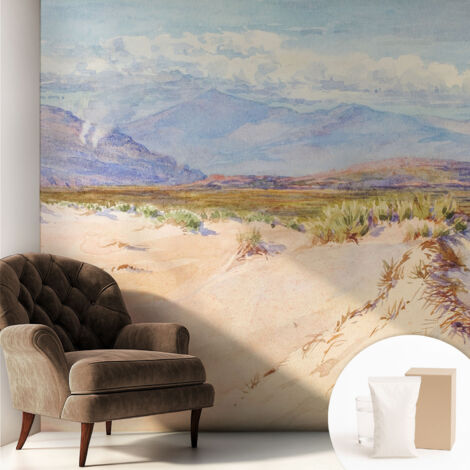 Carta Da Parati Non Tessuto - Con Colla Gratuita - Con Motivi Moderni - Design Elegante Per Pareti Paesaggio desertico 250x250 cm