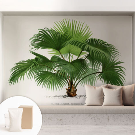 Carta Da Parati Non Tessuto - Con Colla Gratuita - Con Motivi Moderni - Design Elegante Per Pareti Palma esotica 208x146 cm