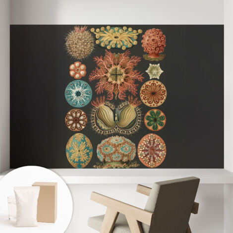 Carta Da Parati Non Tessuto - Con Colla Gratuita - Con Motivi Moderni - Design Elegante Per Pareti Seaspirations 104x70 cm