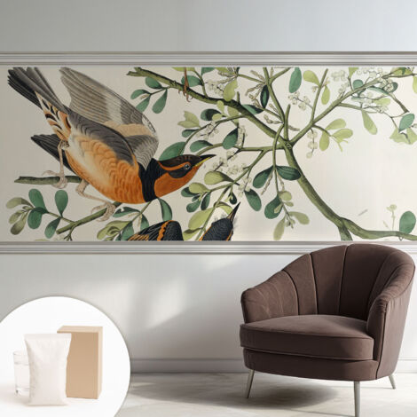Carta Da Parati Non Tessuto - Con Colla Gratuita - Con Motivi Moderni - Design Elegante Per Pareti Uccelli colorati 250x104 cm