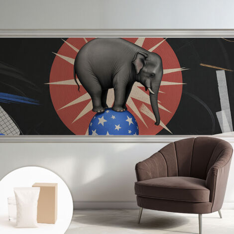 Carta Da Parati Non Tessuto - Con Colla Inclusa per Camera da Letto - Facile da Applica - Motivo decorativo elefante da circo 250x104 cm