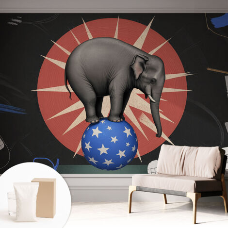 Carta Da Parati Non Tessuto - Con Colla Inclusa per Camera da Letto - Facile da Applica - Motivo decorativo elefante da circo 312x219 cm