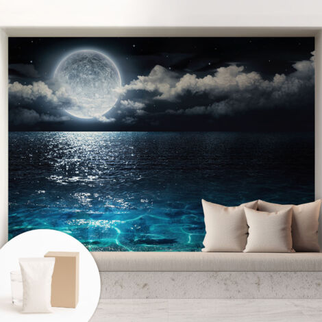 Carta Da Parati Non Tessuto - Con Colla Inclusa per Camera da Letto - Facile da Applica - Motivo decorativo Mare notturno 208x146 cm