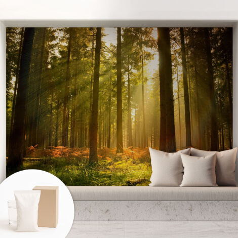 Carta Da Parati Non Tessuto - Con Colla Inclusa per Camera da Letto - Facile da Applica - Motivo decorativo Mattina nella foresta 208x146 cm