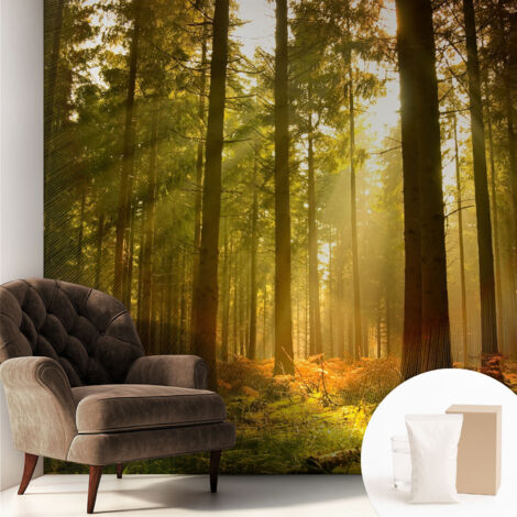 Carta Da Parati Non Tessuto - Con Colla Inclusa per Camera da Letto - Facile da Applica - Motivo decorativo Mattina nella foresta 250x250 cm