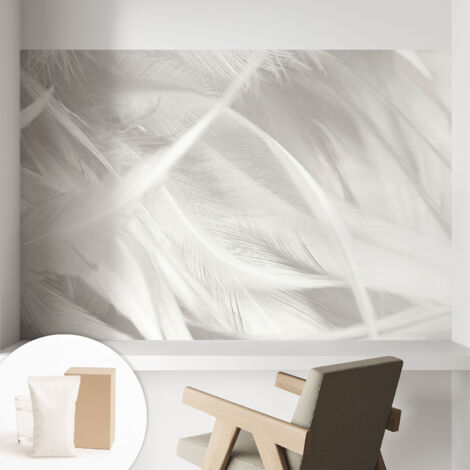 Carta Da Parati - Non Tessuto - Con Colla Inclusa - Per Interni - Ecologica - Con Ingresso - Soggiorno Piume delicate 104x70 cm