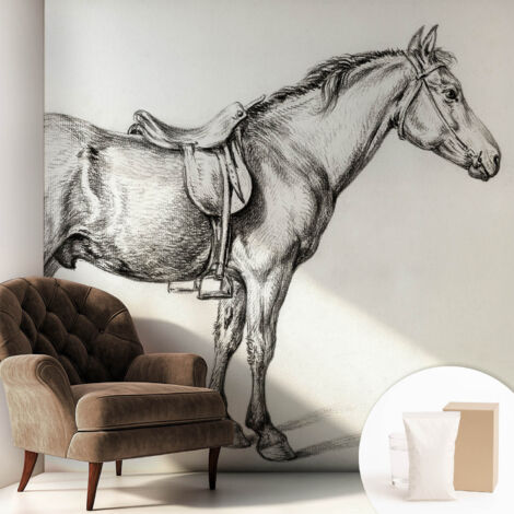 Carta Da Parati - Non Tessuto - Con Colla Inclusa - Per Interni - Ecologica - Con Ingresso - Soggiorno Schizzo di un cavallo 250x250 cm