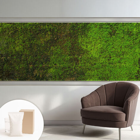 Carta Da Parati - Non Tessuto - Con Colla Inclusa - Per Interni - Ecologica - Con Ingresso - Soggiorno Tappeto verde 250x104 cm