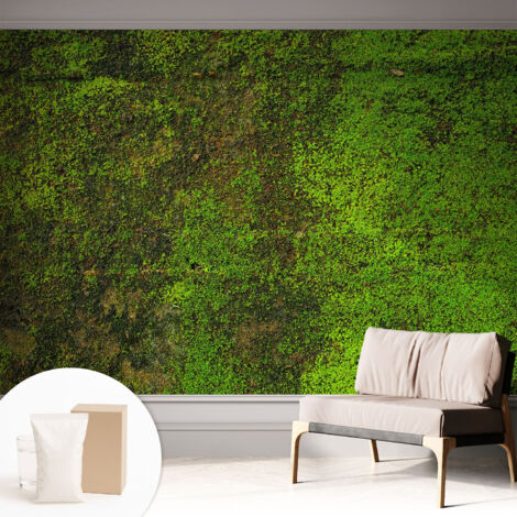 Carta Da Parati - Non Tessuto - Con Colla Inclusa - Per Interni - Ecologica - Con Ingresso - Soggiorno Tappeto verde 312x219 cm