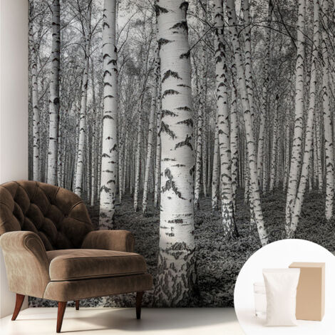 Carta Da Parati Non Tessuto - Decorazione Da Muro - Traspirante - Con Motivo - Per Camera Da Letto Cucina Foresta di betulle 250x250 cm