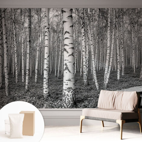 Carta Da Parati Non Tessuto - Decorazione Da Muro - Traspirante - Con Motivo - Per Camera Da Letto Cucina Foresta di betulle 312x219 cm