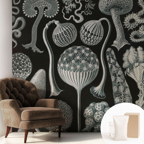 Carta Da Parati Non Tessuto - Decorazione Da Muro - Traspirante - Con Motivo - Per Camera Da Letto Cucina Piante magiche 250x250 cm