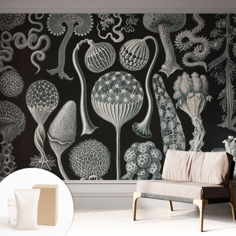 Carta Da Parati Non Tessuto - Decorazione Da Muro - Traspirante - Con Motivo - Per Camera Da Letto Cucina Piante magiche 312x219 cm