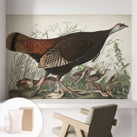 Carta Da Parati Non Tessuto - Di Alta Qualità Per Il Soggiorno La Cucina - Tendenze Moderne - Vlies Ecologico Armonia naturale 104x70 cm