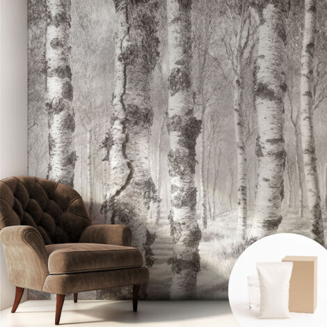 Carta Da Parati Non Tessuto - Di Alta Qualità Per Il Soggiorno La Cucina - Tendenze Moderne - Vlies Ecologico Foresta di betulle 250x250 cm