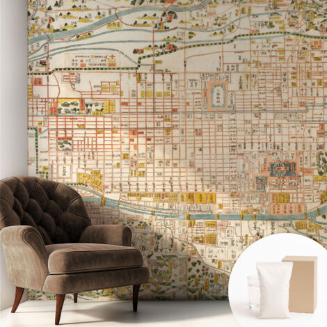 Carta Da Parati Non Tessuto - Di Alta Qualità Per Il Soggiorno La Cucina - Tendenze Moderne - Vlies Ecologico mappa antica 250x250 cm