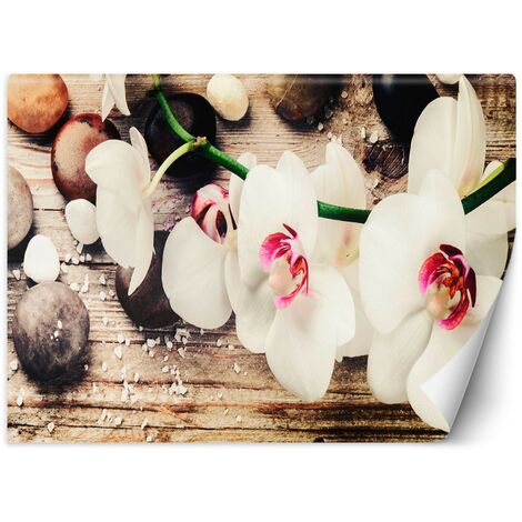 Carta Da Parati, Orchidee Zen - 100x70
