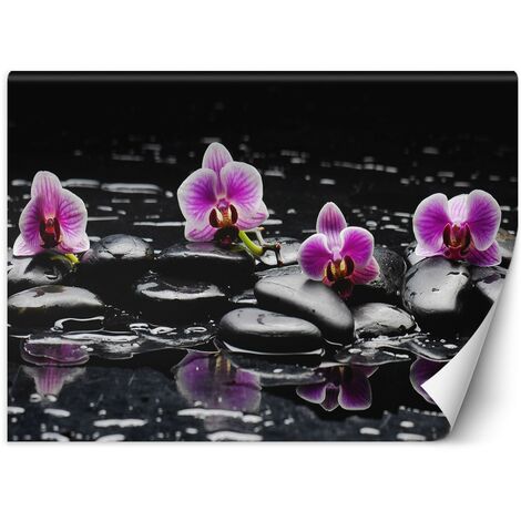 Carta Da Parati, Pietre e orchidee zen - 150x105