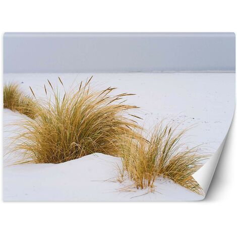 Carta Da Parati, Spiaggia Lago Dune Paesaggio - 200x140