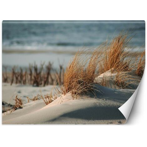 Carta Da Parati, Spiaggia mare dune paesaggio - 368x254