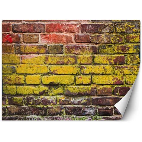 Carta Da Parati, Vecchio muro di mattoni colorati - 350x245