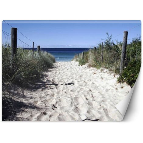 Carta Da Parati, Via per la spiaggia - 150x105