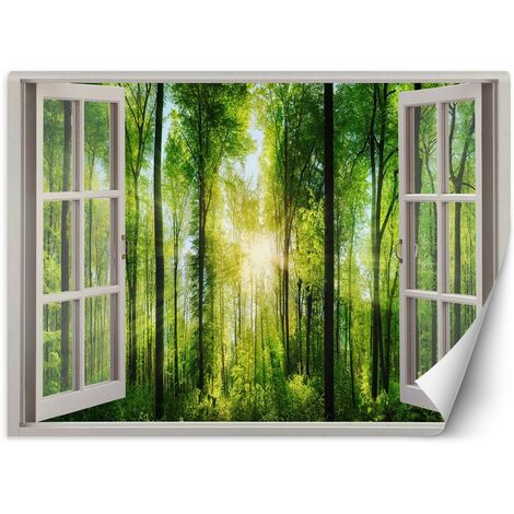 Carta Da Parati, Vista finestra raggi di sole nella foresta - 210x150