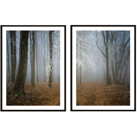 CARTELES DE PINTURA EN MARCO 53x73cm Díptico Conjunto de 2 cuadros Bosque de Otoño P2093